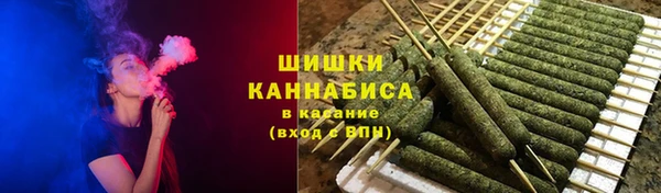 сатива Вязьма