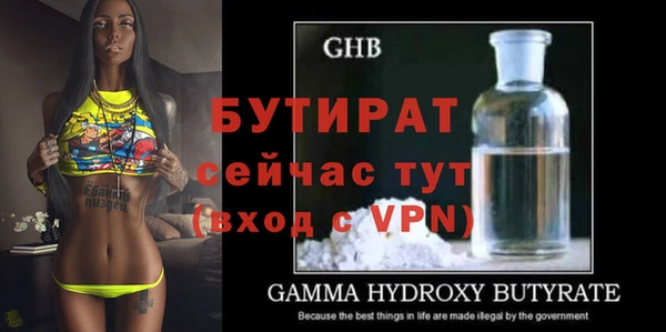сатива Вязьма