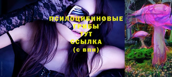 ALPHA-PVP Вяземский