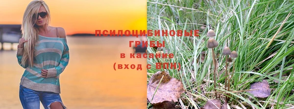 ALPHA-PVP Вяземский