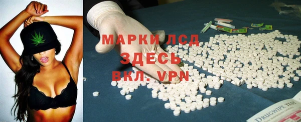 сатива Вязьма