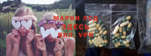 сатива Вязьма